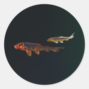 Orange Koi and Gold Koi Classic Round Sticker