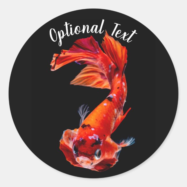 Orange Koi Betta Fighting Fish Classic Round Sticker (Front)