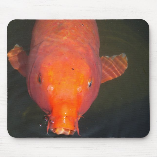 Orange Koi fish Postcard Mouse Pad (Front)