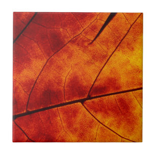 ORANGE LEAF CERAMIC TILE