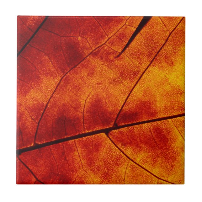 ORANGE LEAF CERAMIC TILE (Front)