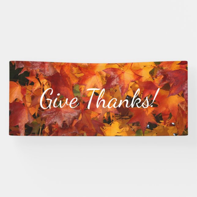 orange leaves banner (Horizontal)