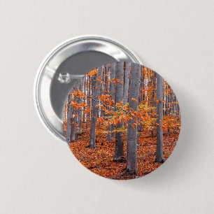 Orange Leaves Fall Forest Photo 6 Cm Round Badge