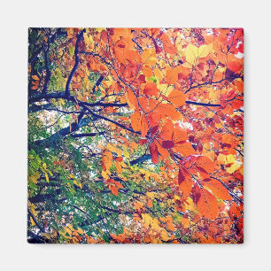 Orange leaves magnet