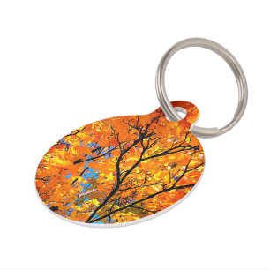 Orange leaves pet tag