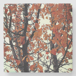 Orange leaves stone coaster