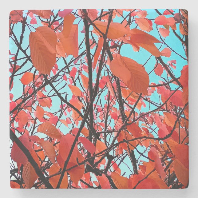 Orange leaves stone coaster (Front)