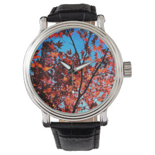 Orange leaves watch