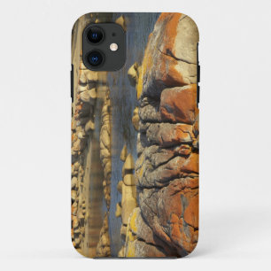 Orange Lichen on Rocks, Binalong Bay, Bay of iPhone 11 Case