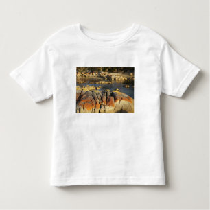 Orange Lichen on Rocks, Binalong Bay, Bay of Toddler T-Shirt
