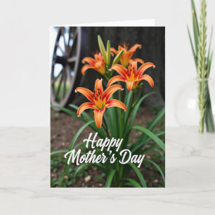 Orange Lilies Mothers Day Card