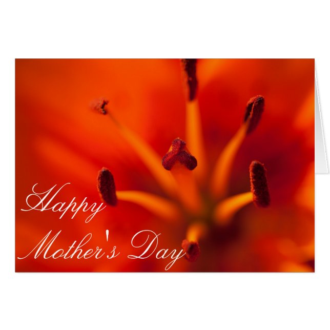 Orange Lilly Mother's Day Card (Front Horizontal)