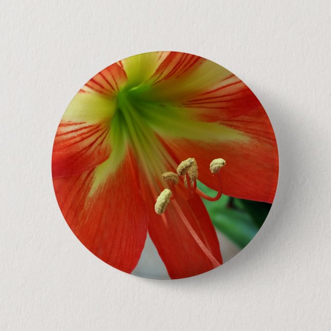 orange lily 6 cm round badge (Front)