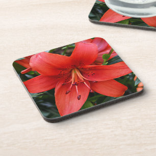 Orange Lily Bloom Floral Coaster