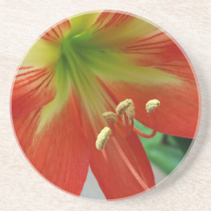 orange lily coaster