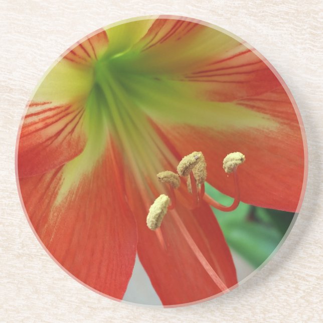 orange lily coaster (Front)