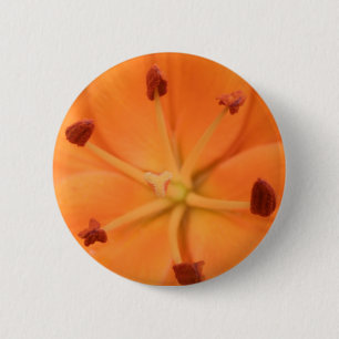 Orange Lily Floral Button