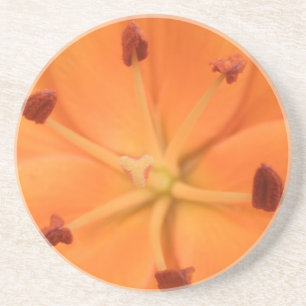 Orange Lily Floral Coasters