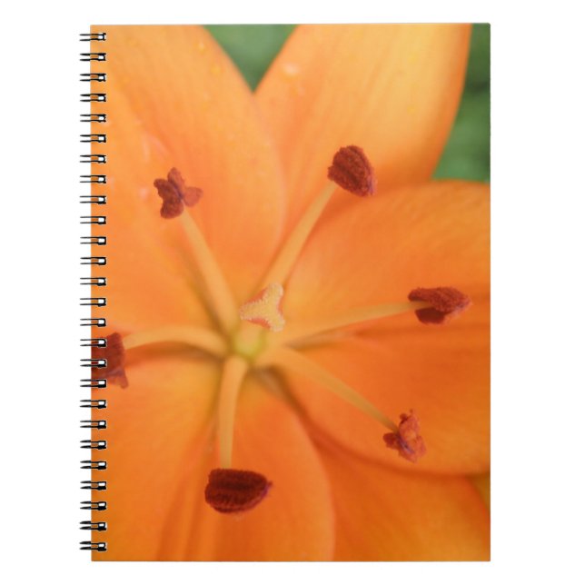 Orange Lily Floral Notebook (Front)