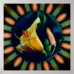 Orange Lily Flower Floral Abstract Nature Art Poster