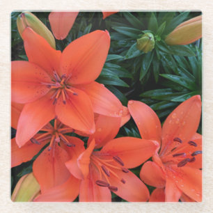 Orange Lily Glass Coaster