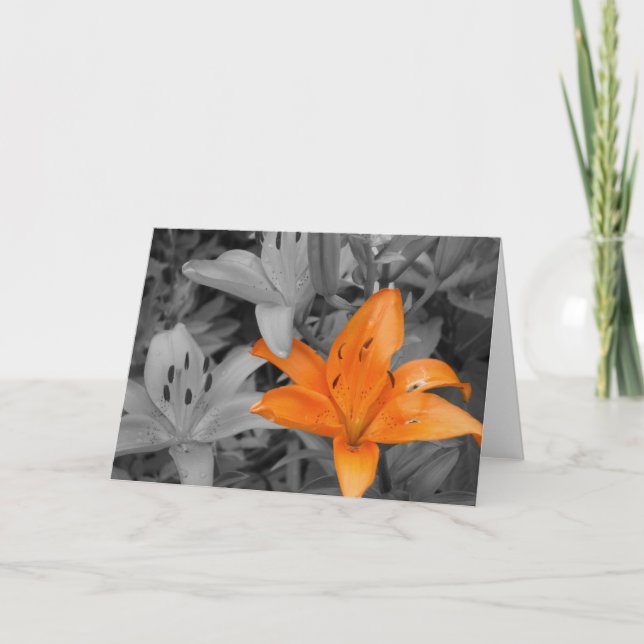 Orange Lily Hand-Coloured Card (Front)