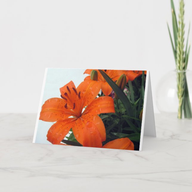 Orange LIly Holiday Card (Front)