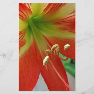 orange lily stationery