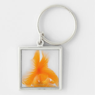 Orange lionhead goldfish (Carassius auratus) 2 Key Ring