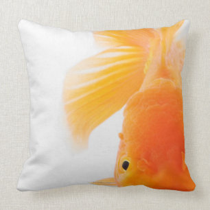 Orange lionhead goldfish (Carassius auratus) Cushion