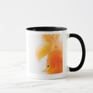 Orange lionhead goldfish (Carassius auratus) Mug