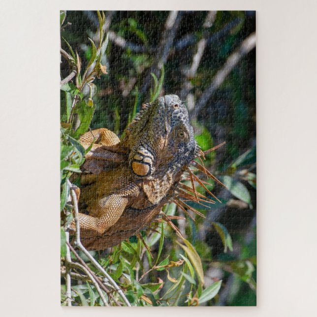 Orange Lizard, Belise Iguana Jigsaw Puzzle (Vertical)
