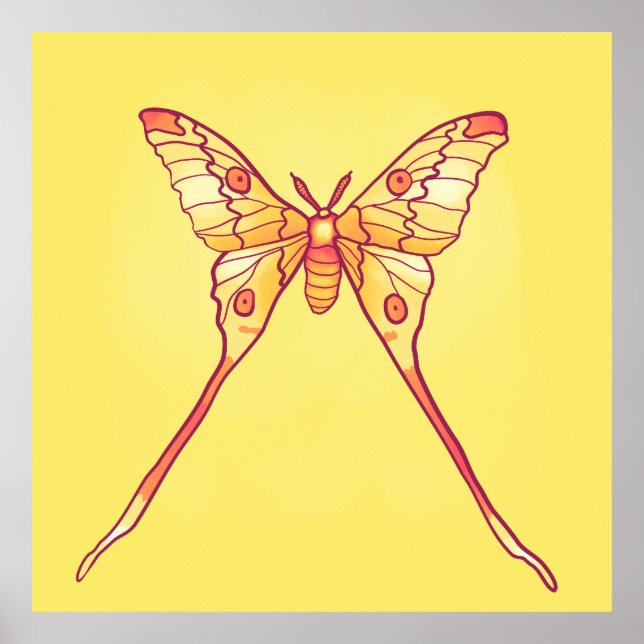 Orange Luna Moth Art – Colourful Insect Poster (Front)