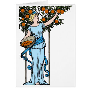 Orange Maiden