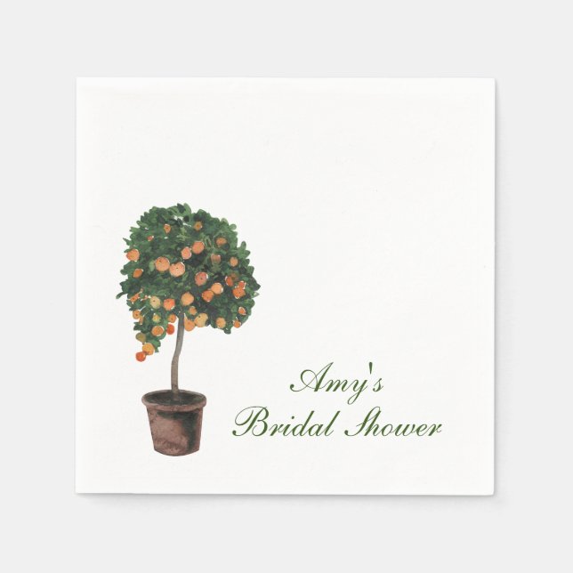 Orange Main Squeeze Paper Napkins (Front)