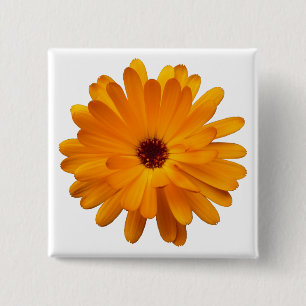 Orange Marigold 15 Cm Square Badge