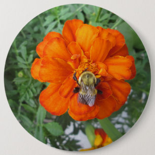 Orange Marigold Bee Flower 6 Cm Round Badge