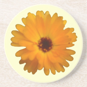 Orange Marigold Coasters