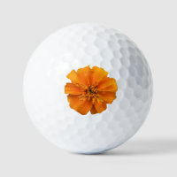 Orange Marigold Flower