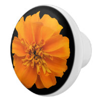 Orange Marigold Flower on Black