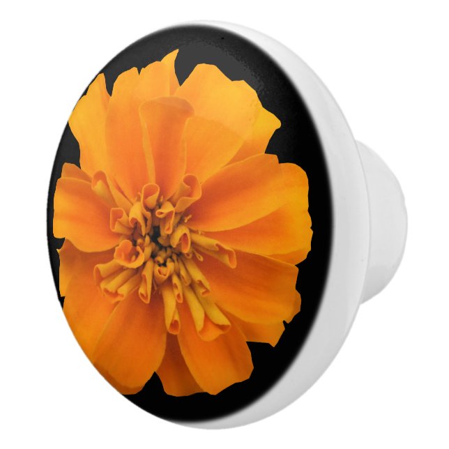 Orange Marigold Flower on Black Ceramic Knob (Right)