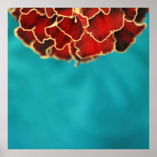 Orange Marigold Flower Petal Macro Abstract Poster