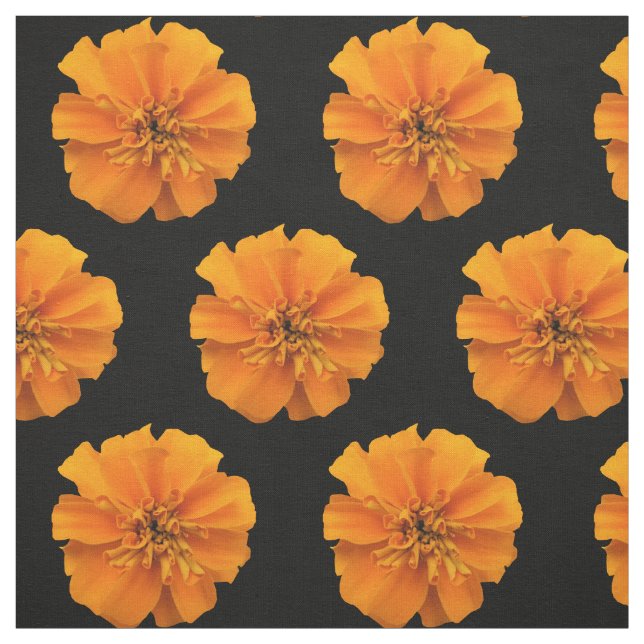 Orange Marigold Flowers on Black Background Fabric (Swatch)