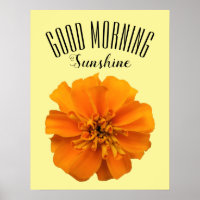 Orange Marigold Good Morning Sunshine
