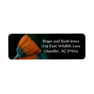 Orange marigold label return address label