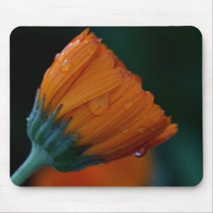 Orange marigold mouse pad