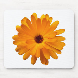 Orange Marigold Mouse Pad