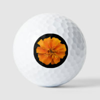 Orange Marigold on Black Background
