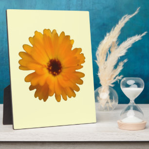 Orange Marigold Plaque