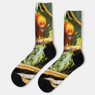 Orange Marmoset, Crew Socks